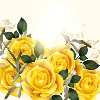 Yellow Rose 
